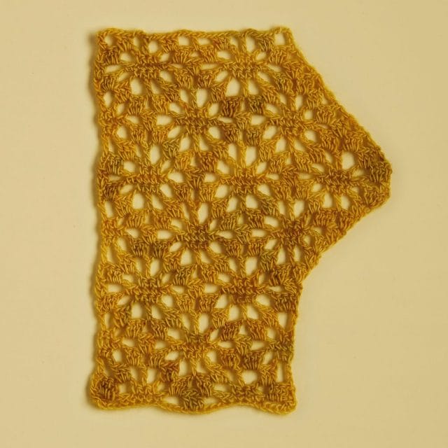 A crochet swatch from Crochet Every Way Stitch Dictionary, by Dora Ohrenstein.
