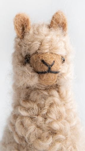 A white background features an adorable tan wooly alpaca toy face looking at you along with a June 2020 calendar