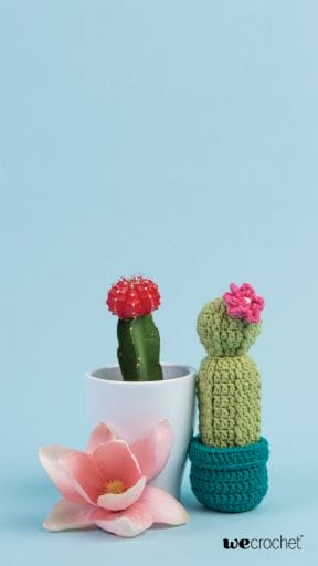 On a blue background, a crocheted cactus sits next to a real cactus with a flower. 