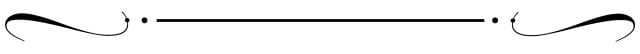 A decorative separator for the text.