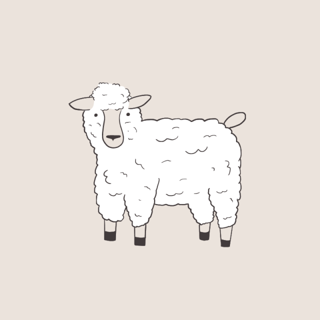 A drawing of a sheep