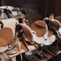A series of leather saddles in a barn